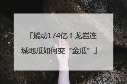 撬动174亿！龙岩连城地瓜如何变“金瓜”