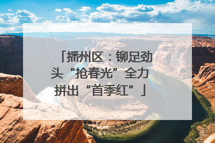 播州区：铆足劲头“抢春光”全力拼出“首季红”