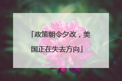 政策朝令夕改，美国正在失去方向
