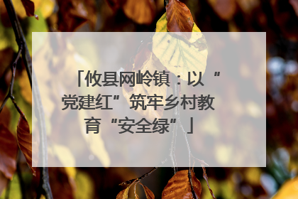 攸县网岭镇：以“党建红”筑牢乡村教育“安全绿”