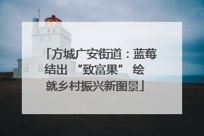 方城广安街道：蓝莓结出 “致富果” 绘就乡村振兴新图景