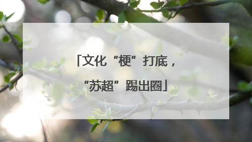 文化“梗”打底，“苏超”踢出圈