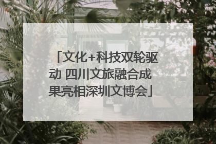 文化+科技双轮驱动 四川文旅融合成果亮相深圳文博会