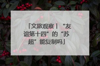 文旅观察丨“友谊第十四”的“苏超”能复制吗