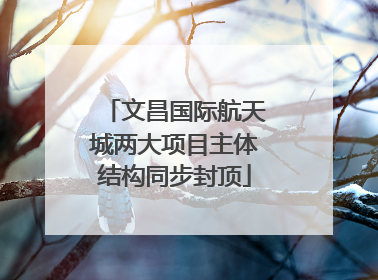 文昌国际航天城两大项目主体结构同步封顶