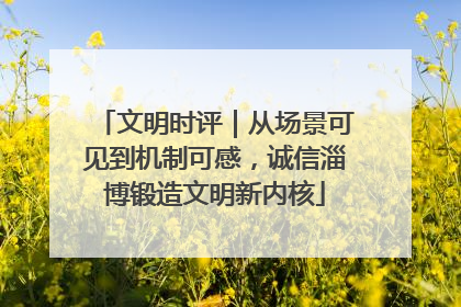 文明时评｜从场景可见到机制可感，诚信淄博锻造文明新内核