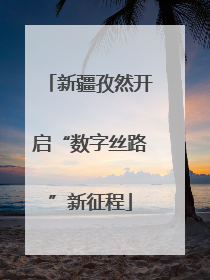 新疆孜然开启“数字丝路”新征程