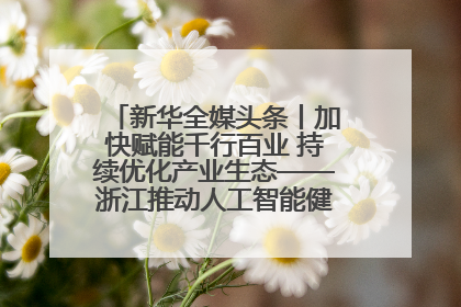 新华全媒头条丨加快赋能千行百业 持续优化产业生态——浙江推动人工智能健康有序发展观察