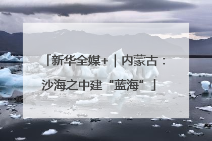 新华全媒+｜内蒙古：沙海之中建“蓝海”