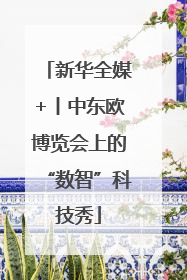 新华全媒+丨中东欧博览会上的“数智”科技秀