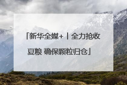 新华全媒+丨全力抢收夏粮 确保颗粒归仓