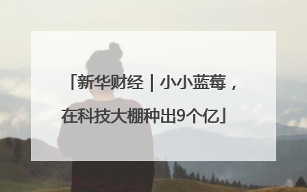 新华财经｜小小蓝莓，在科技大棚种出9个亿