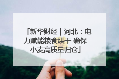 新华财经｜河北：电力赋能粮食烘干 确保小麦高质量归仓