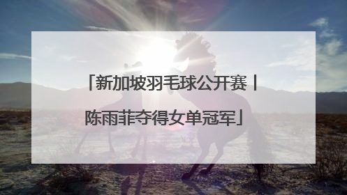 新加坡羽毛球公开赛丨陈雨菲夺得女单冠军
