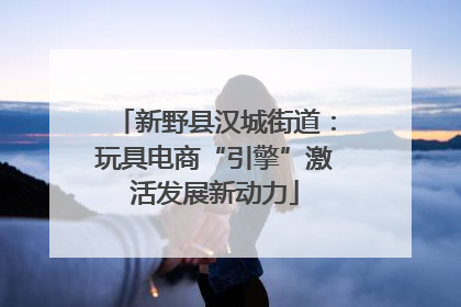 新野县汉城街道：玩具电商“引擎”激活发展新动力