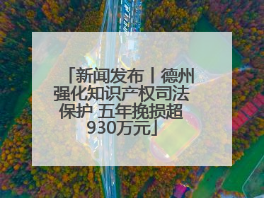 新闻发布丨德州强化知识产权司法保护 五年挽损超930万元