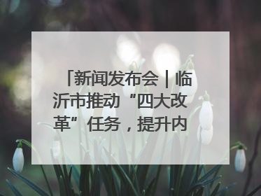 新闻发布会｜临沂市推动“四大改革”任务，提升内部审计监督效能