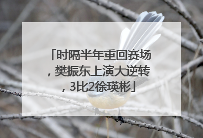 时隔半年重回赛场，樊振东上演大逆转，3比2徐瑛彬