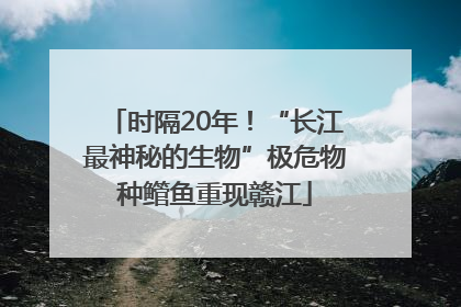 时隔20年！“长江最神秘的生物”极危物种鳤鱼重现赣江