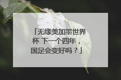 无缘美加墨世界杯 下一个四年，国足会变好吗？