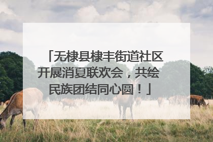 无棣县棣丰街道社区开展消夏联欢会，共绘民族团结同心圆！