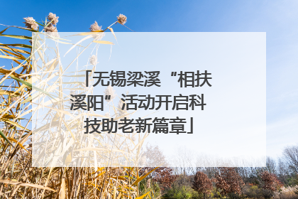 无锡梁溪“相扶溪阳”活动开启科技助老新篇章