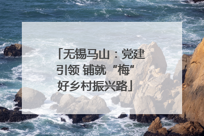 无锡马山：党建引领 铺就“梅”好乡村振兴路