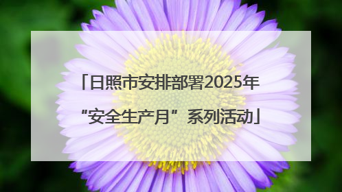 日照市安排部署2025年“安全生产月”系列活动