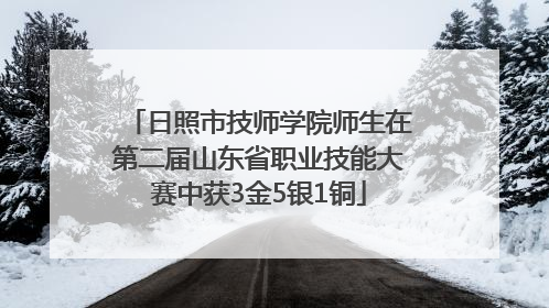 日照市技师学院师生在第二届山东省职业技能大赛中获3金5银1铜