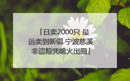 日卖2000只 最远卖到新疆 宁波慈溪非遗粽凭啥火出圈