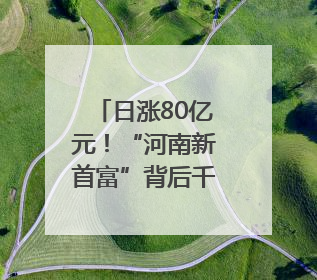 日涨80亿元！“河南新首富”背后千亿潮玩“湾区造”｜热财经