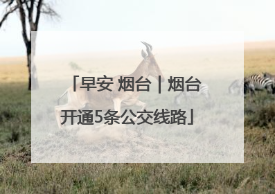 早安 烟台｜烟台开通5条公交线路