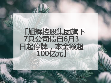 旭辉控股集团旗下7只公司债自6月3日起停牌，本金额超100亿元