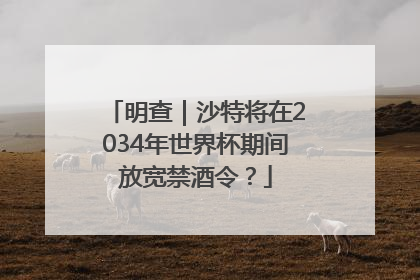 明查｜沙特将在2034年世界杯期间放宽禁酒令？