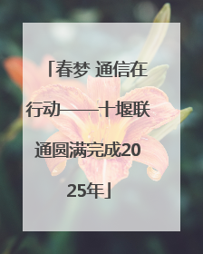 春梦 通信在行动——十堰联通圆满完成2025年
