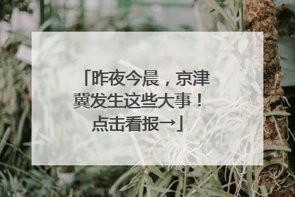 昨夜今晨，京津冀发生这些大事！点击看报→
