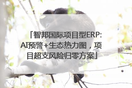 智邦国际项目型ERP:AI预警+生态热力图，项目超支风险归零方案