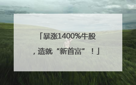 暴涨1400%牛股，造就“新首富”！