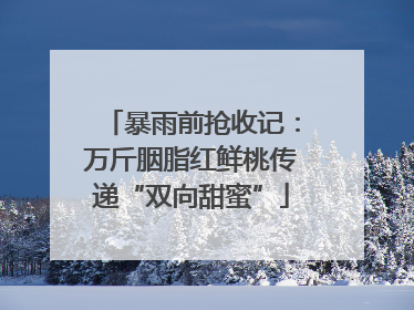 暴雨前抢收记：万斤胭脂红鲜桃传递“双向甜蜜”