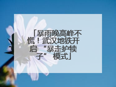 暴雨晚高峰不慌！武汉地铁开启 “暴走护犊子” 模式