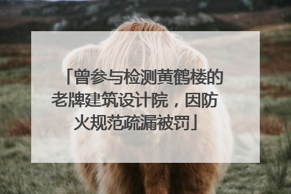 曾参与检测黄鹤楼的老牌建筑设计院，因防火规范疏漏被罚