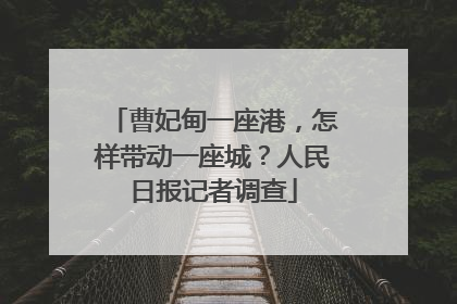 曹妃甸一座港，怎样带动一座城？人民日报记者调查