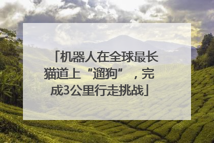 机器人在全球最长猫道上“遛狗”，完成3公里行走挑战