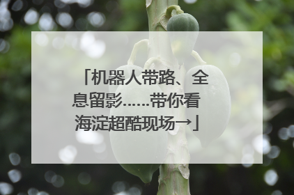 机器人带路、全息留影……带你看海淀超酷现场→