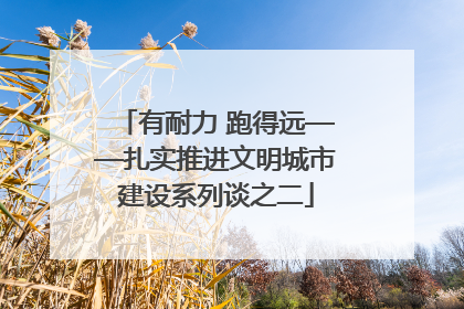 有耐力 跑得远——扎实推进文明城市建设系列谈之二