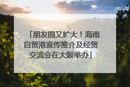 朋友圈又扩大！海南自贸港宣传推介及经贸交流会在大阪举办