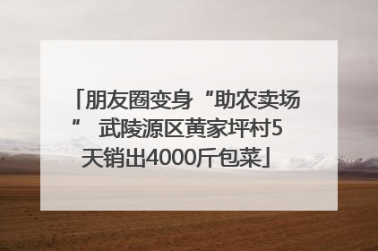 朋友圈变身“助农卖场” 武陵源区黄家坪村5天销出4000斤包菜