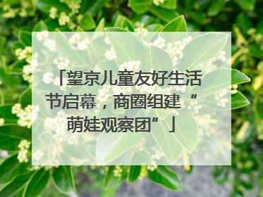 望京儿童友好生活节启幕，商圈组建“萌娃观察团”