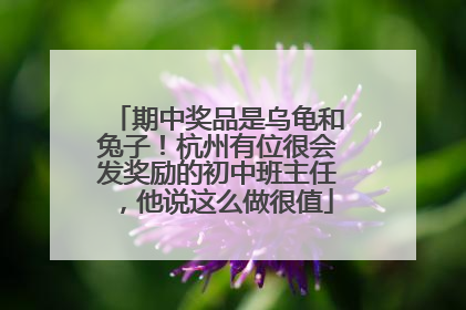 期中奖品是乌龟和兔子！杭州有位很会发奖励的初中班主任，他说这么做很值