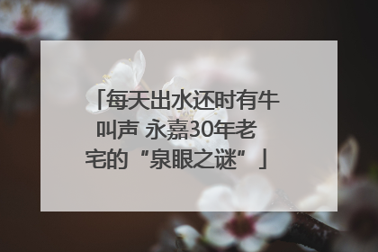 每天出水还时有牛叫声 永嘉30年老宅的“泉眼之谜”